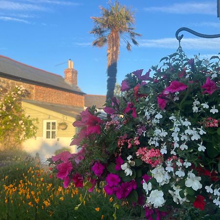 Penwyth House Bed & Breakfast Newquay  Exterior photo