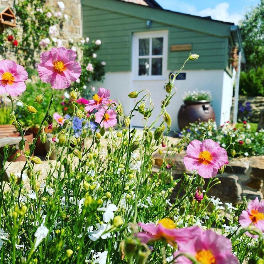 Penwyth House Bed & Breakfast Newquay  Exterior photo