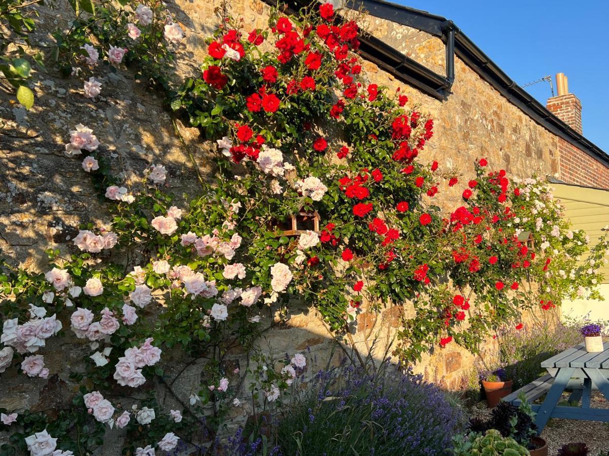 Penwyth House Bed & Breakfast Newquay  Exterior photo